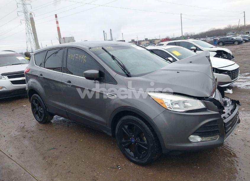 2014 Ford Escape SE (VIN 1FMCU0GX6EUA83224) main photo