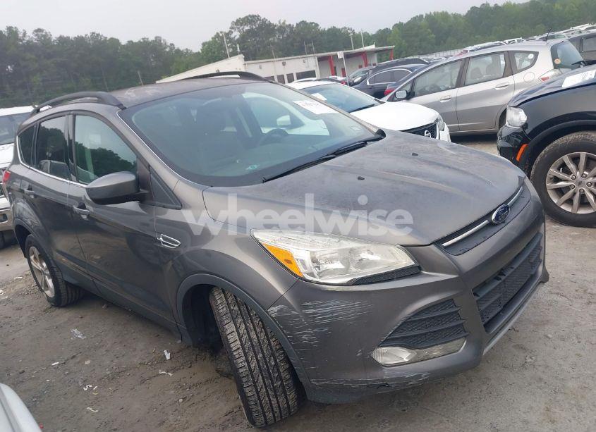 2014 Ford Escape SE (VIN 1FMCU0GX6EUB06842) main photo