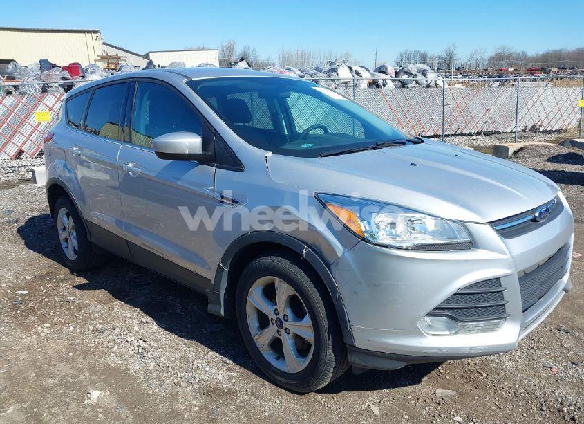 2014 Ford Escape SE (VIN 1FMCU0GX6EUB07358) main photo