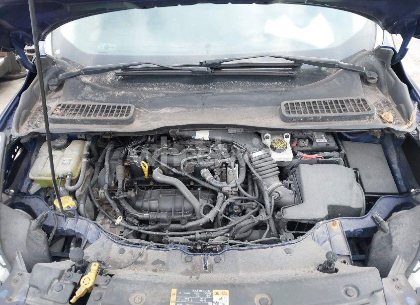 Photo 10 of 2014 Ford Escape SE (VIN 1FMCU0GX6EUB28288)