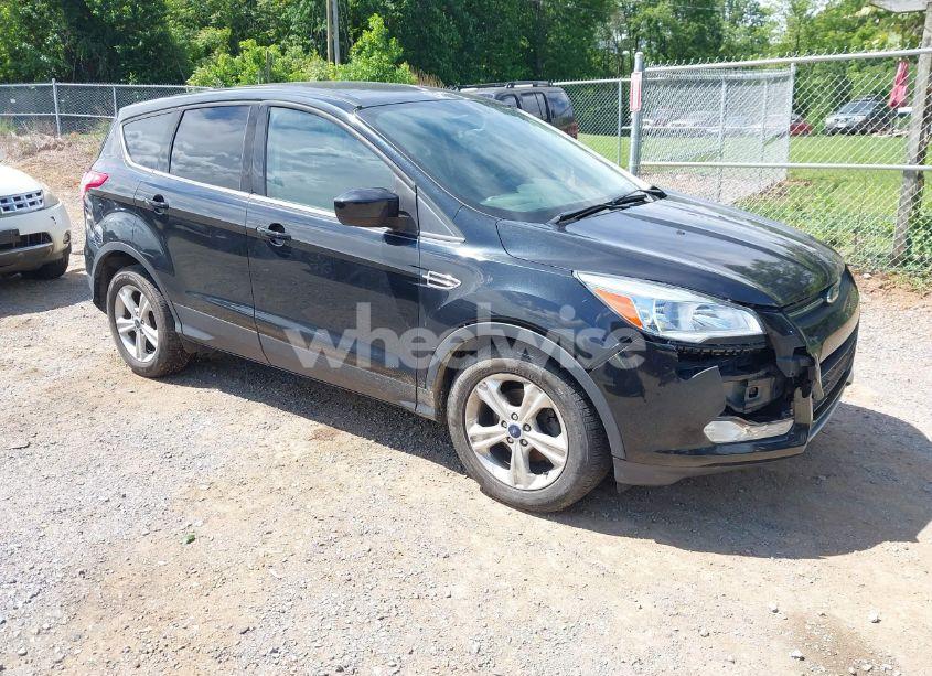 2014 Ford Escape SE (VIN 1FMCU0GX6EUB56639) main photo