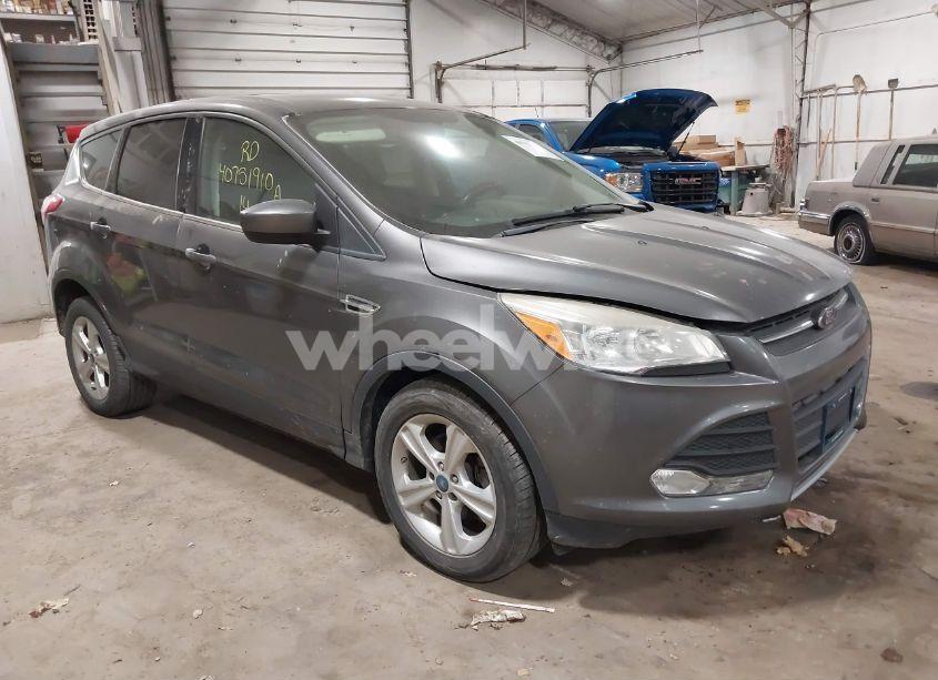 2014 Ford Escape SE (VIN 1FMCU0GX6EUB65325) main photo