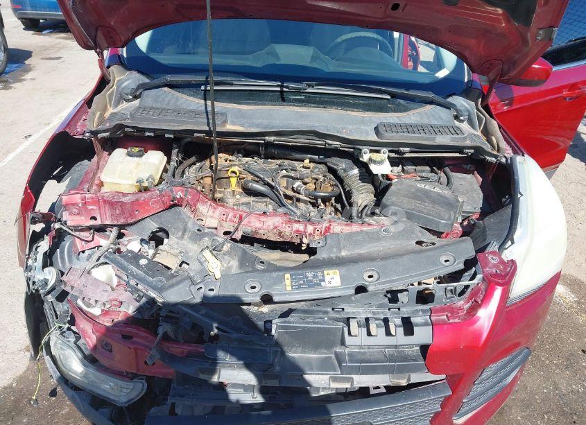 Photo 10 of 2014 Ford Escape SE (VIN 1FMCU0GX6EUB72338)