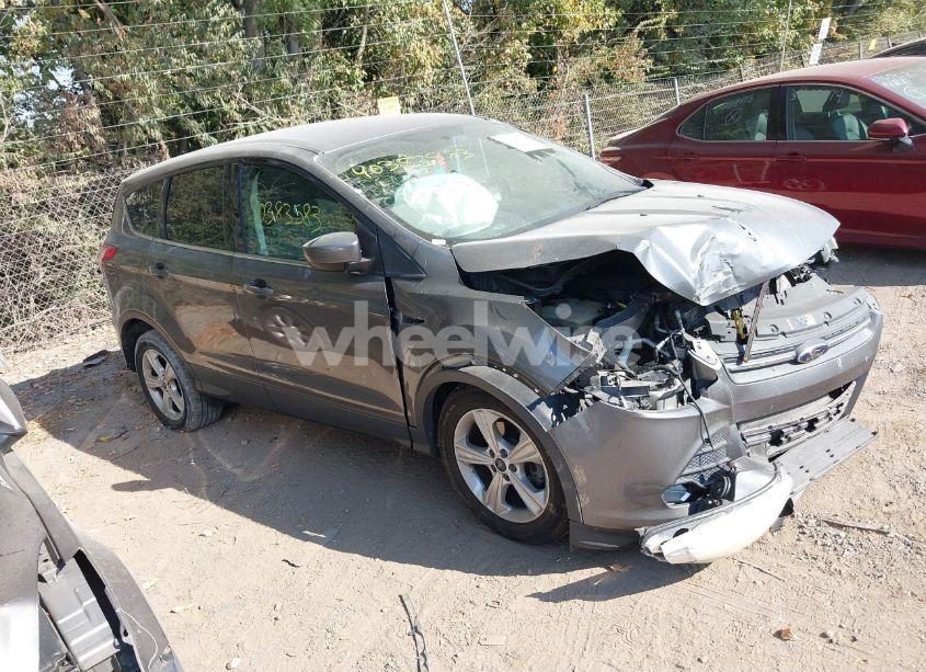 2014 Ford Escape SE (VIN 1FMCU0GX6EUC43621) main photo