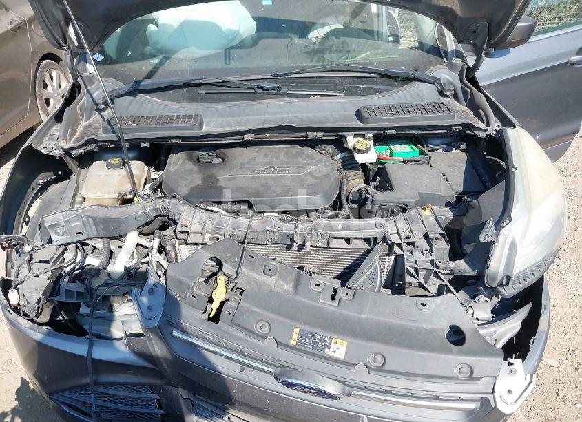 Photo 10 of 2014 Ford Escape SE (VIN 1FMCU0GX6EUC43621)