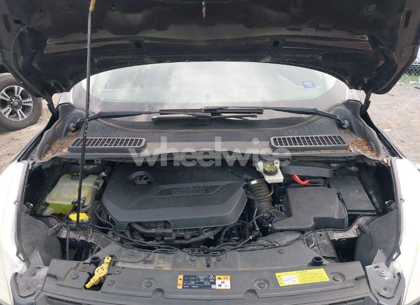 Photo 10 of 2014 Ford Escape SE (VIN 1FMCU0GX6EUC61410)