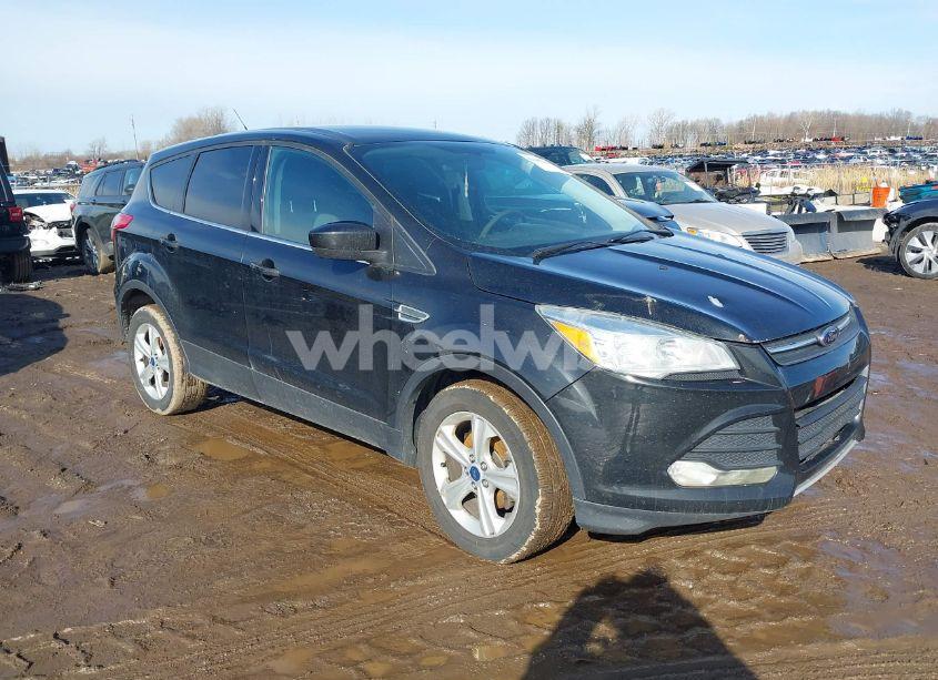 2014 Ford Escape SE (VIN 1FMCU0GX6EUC91443) main photo