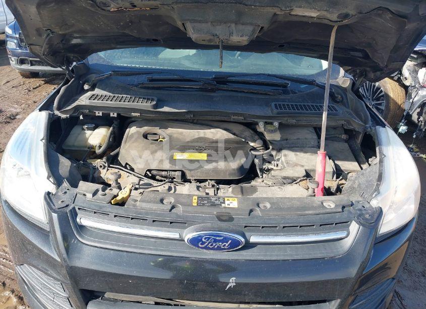 Photo 10 of 2014 Ford Escape SE (VIN 1FMCU0GX6EUC91443)