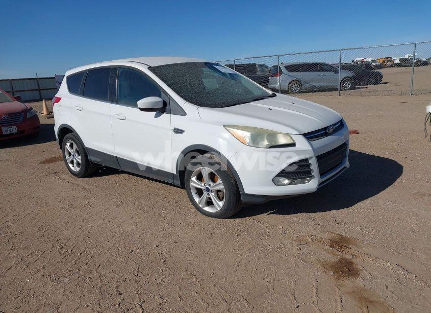 2014 Ford Escape SE (VIN 1FMCU0GX6EUD38695) main photo