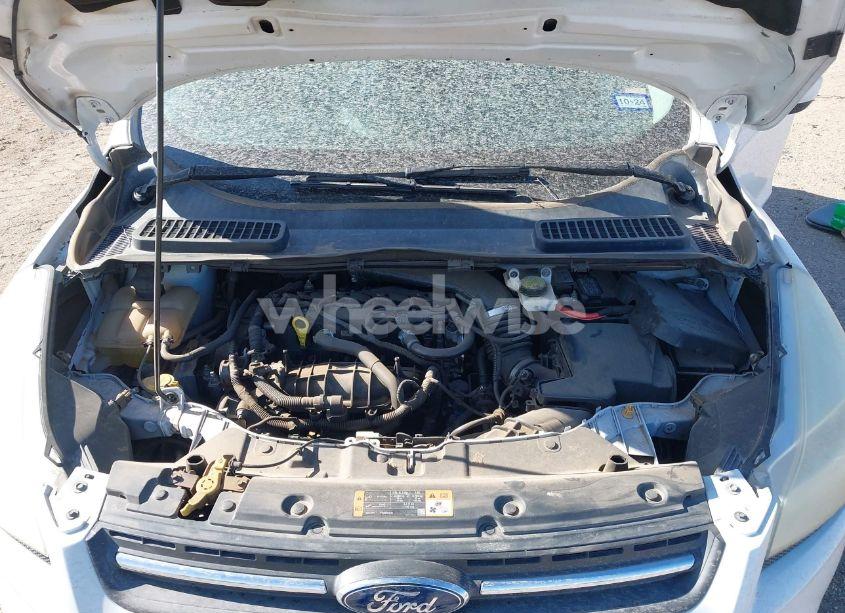 Photo 10 of 2014 Ford Escape SE (VIN 1FMCU0GX6EUD38695)