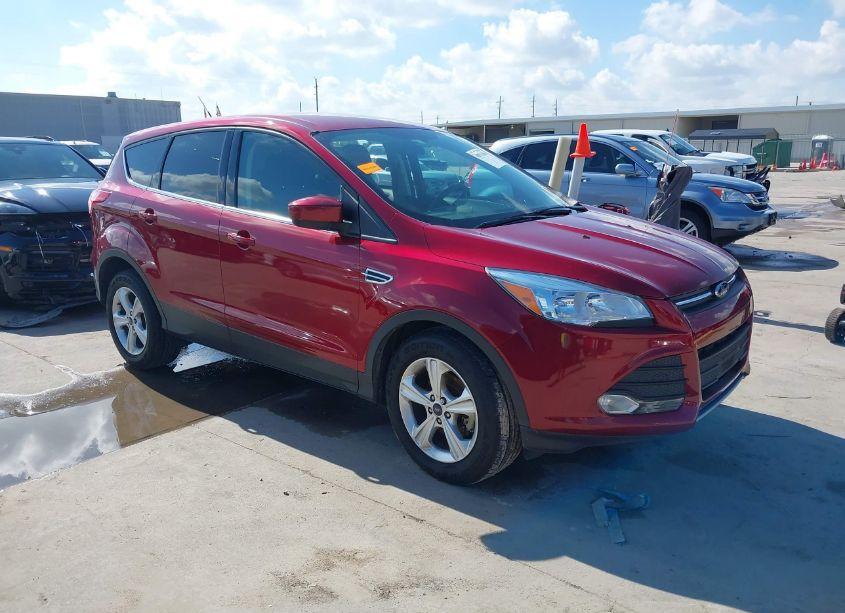 2014 Ford Escape SE (VIN 1FMCU0GX6EUD50605) main photo