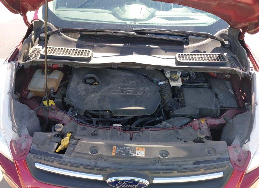 Photo 10 of 2014 Ford Escape SE (VIN 1FMCU0GX6EUD50605)