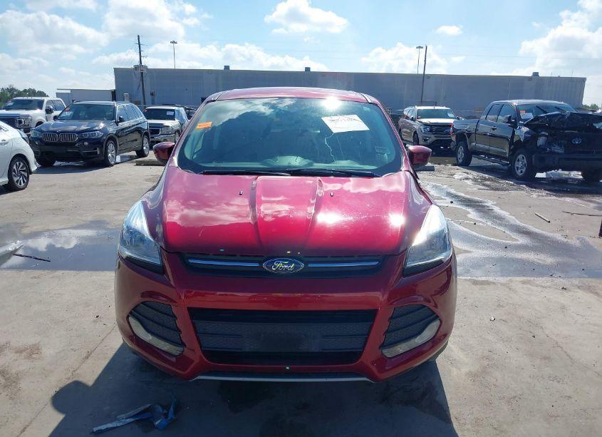 Photo 12 of 2014 Ford Escape SE (VIN 1FMCU0GX6EUD50605)