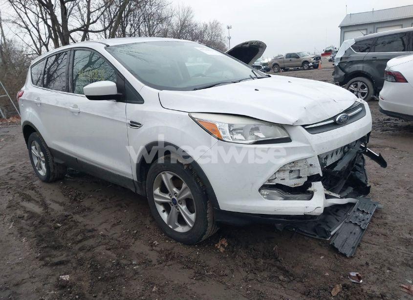 2014 Ford Escape SE (VIN 1FMCU0GX6EUD59708) main photo