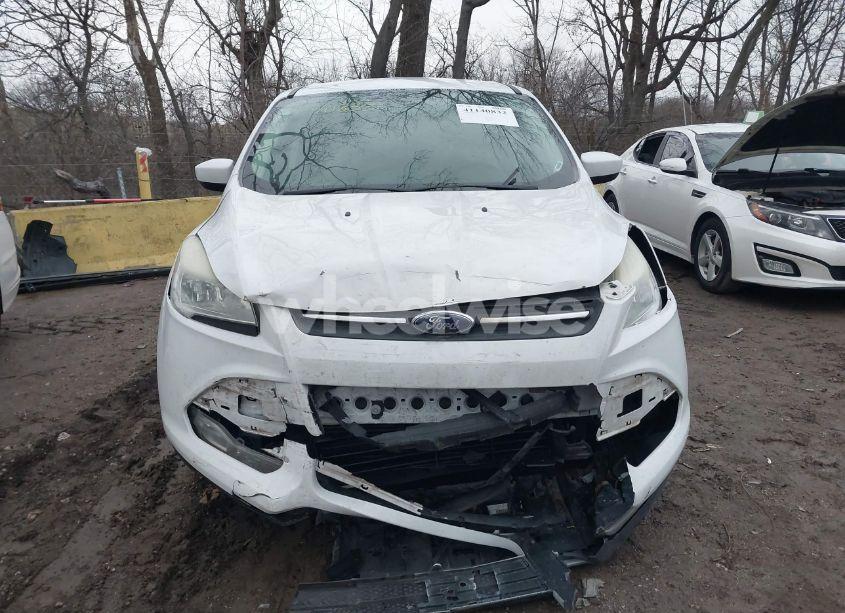 Photo 12 of 2014 Ford Escape SE (VIN 1FMCU0GX6EUD59708)