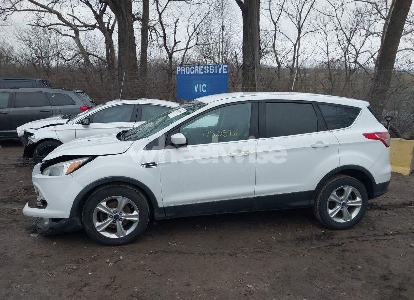 Photo 14 of 2014 Ford Escape SE (VIN 1FMCU0GX6EUD59708)
