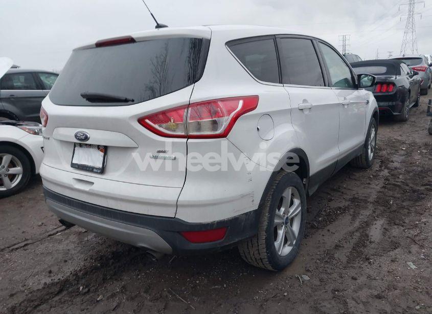 Photo 4 of 2014 Ford Escape SE (VIN 1FMCU0GX6EUD59708)