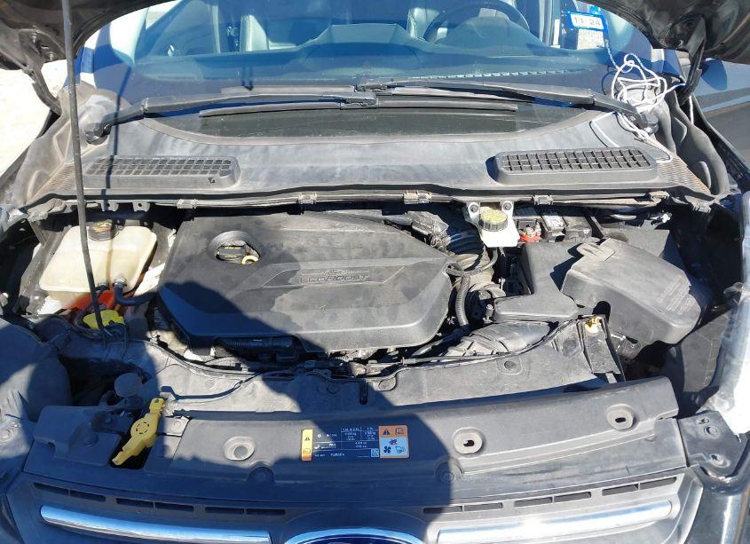 Photo 10 of 2014 Ford Escape SE (VIN 1FMCU0GX6EUE38750)