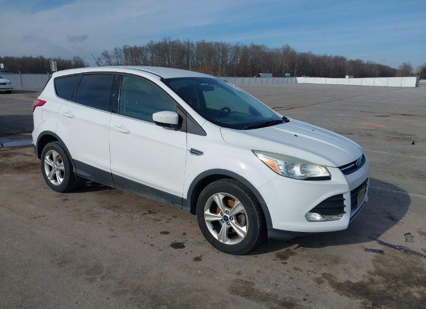 2014 Ford Escape SE (VIN 1FMCU0GX6EUE39431) main photo