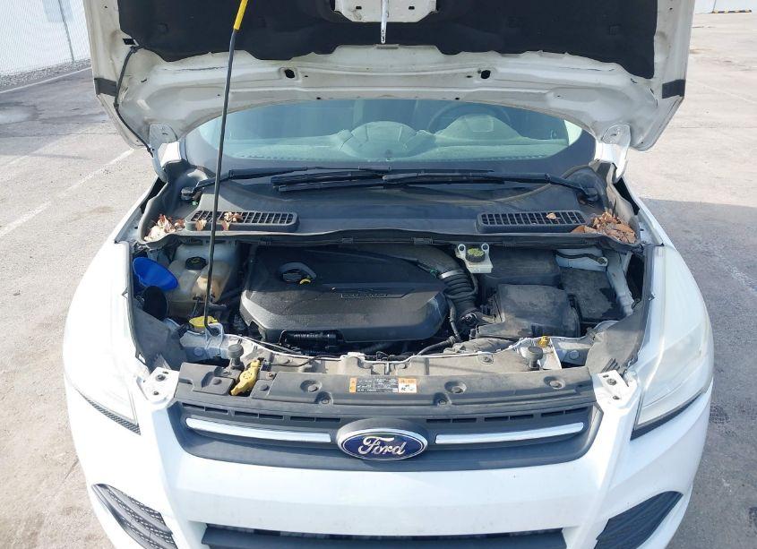 Photo 10 of 2014 Ford Escape SE (VIN 1FMCU0GX6EUE39431)