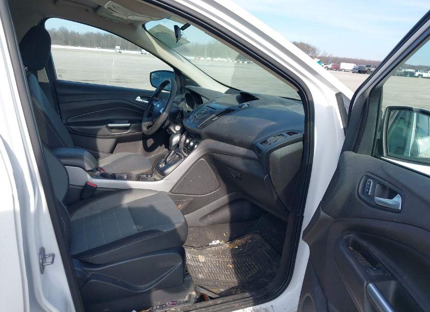 Photo 5 of 2014 Ford Escape SE (VIN 1FMCU0GX6EUE39431)