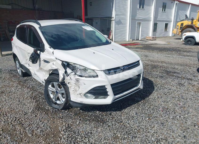 2014 Ford Escape SE (VIN 1FMCU0GX6EUE46539) main photo
