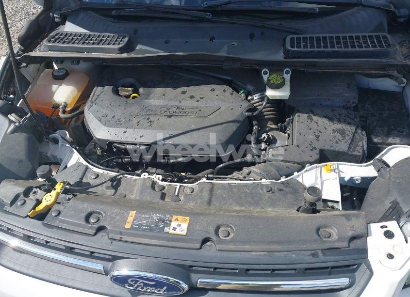 Photo 10 of 2014 Ford Escape SE (VIN 1FMCU0GX6EUE46539)