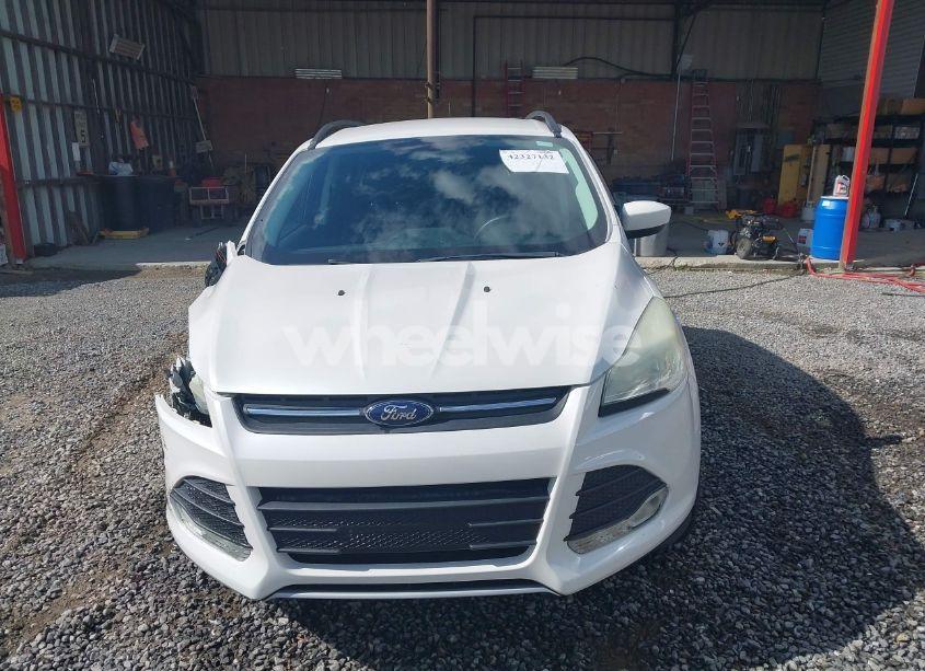 Photo 12 of 2014 Ford Escape SE (VIN 1FMCU0GX6EUE46539)