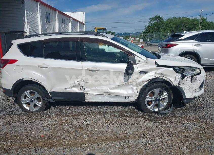Photo 13 of 2014 Ford Escape SE (VIN 1FMCU0GX6EUE46539)