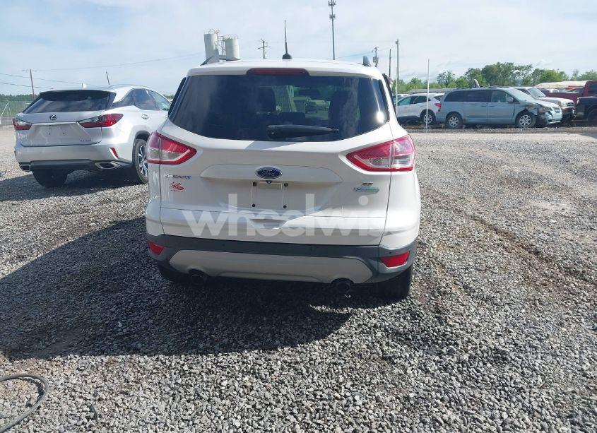 Photo 16 of 2014 Ford Escape SE (VIN 1FMCU0GX6EUE46539)