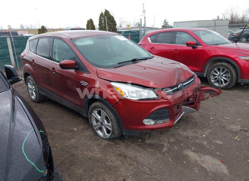 2015 Ford Escape SE (VIN 1FMCU0GX6FUA28516) main photo