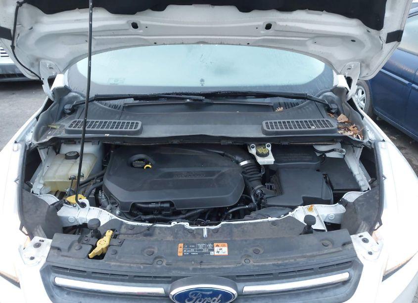 Photo 10 of 2015 Ford Escape SE (VIN 1FMCU0GX6FUA44506)