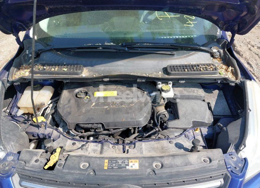 Photo 10 of 2015 Ford Escape SE (VIN 1FMCU0GX6FUB03876)