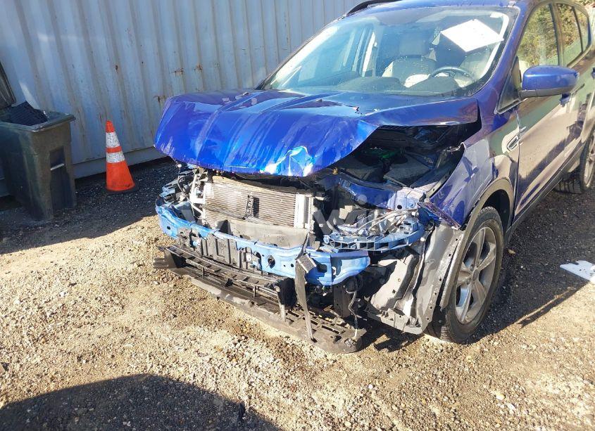 Photo 6 of 2016 Ford Escape SE (VIN 1FMCU0GX6GUA92122)