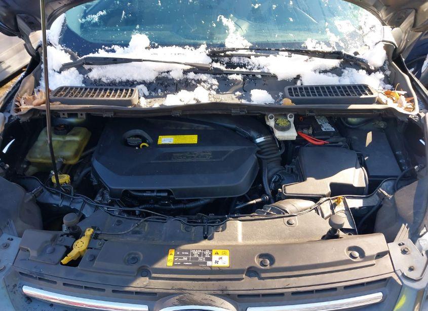 Photo 10 of 2016 Ford Escape SE (VIN 1FMCU0GX6GUB53680)