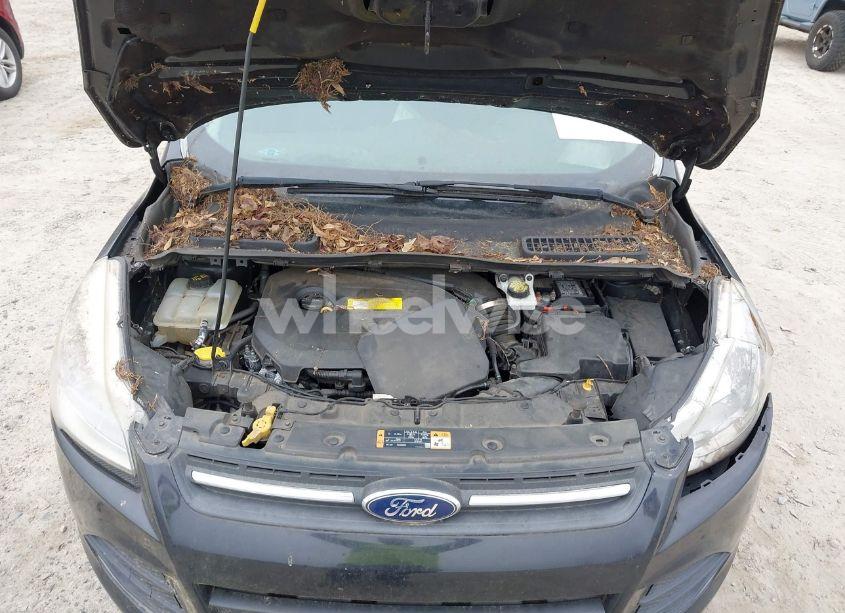 Photo 10 of 2016 Ford Escape SE (VIN 1FMCU0GX6GUC05275)