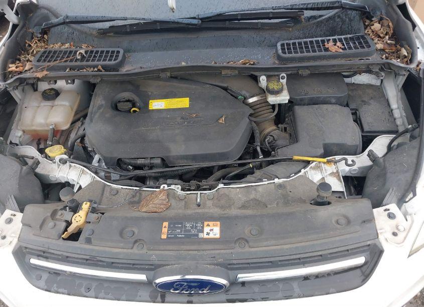 Photo 10 of 2016 Ford Escape SE (VIN 1FMCU0GX6GUC34839)