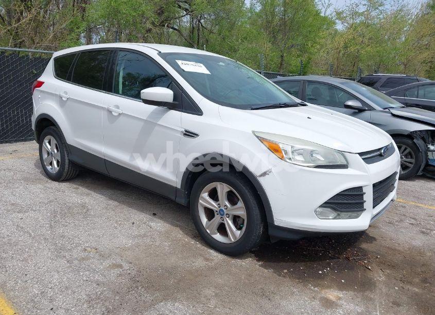 2013 Ford Escape SE (VIN 1FMCU0GX7DUB24877) main photo