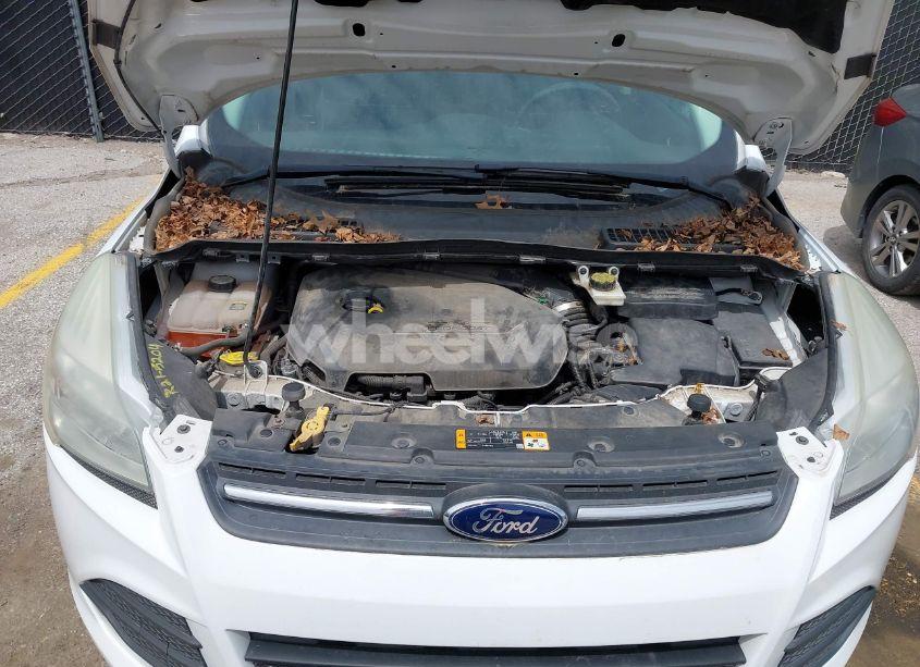 Photo 10 of 2013 Ford Escape SE (VIN 1FMCU0GX7DUB24877)