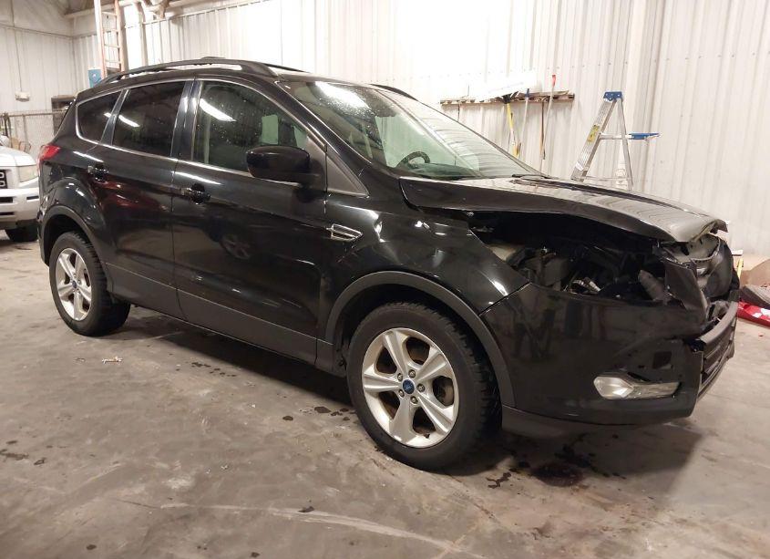 2013 Ford Escape SE (VIN 1FMCU0GX7DUB32803) main photo