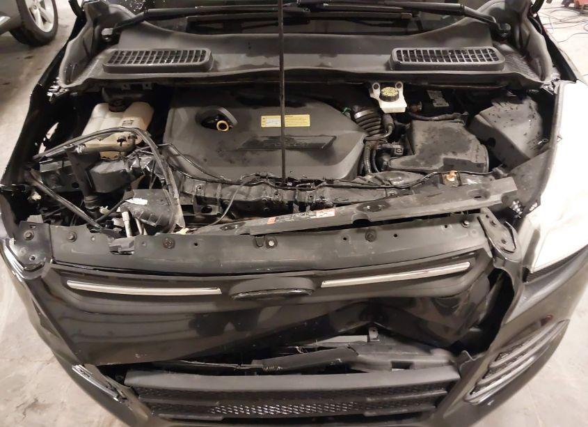 Photo 10 of 2013 Ford Escape SE (VIN 1FMCU0GX7DUB32803)