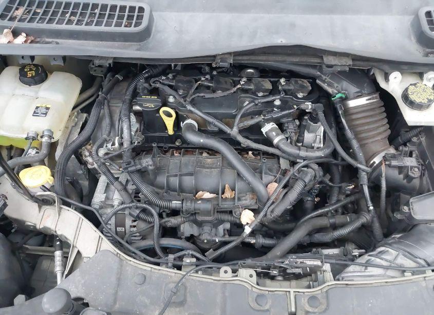 Photo 10 of 2013 Ford Escape SE (VIN 1FMCU0GX7DUB71469)