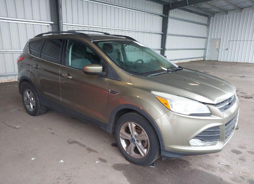 2013 Ford Escape SE (VIN 1FMCU0GX7DUC17253) main photo