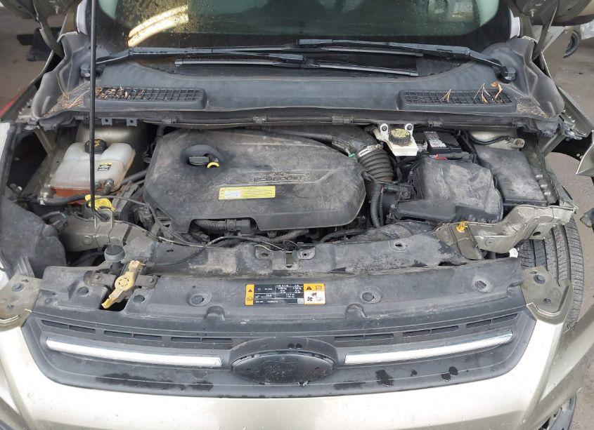 Photo 10 of 2013 Ford Escape SE (VIN 1FMCU0GX7DUC17253)