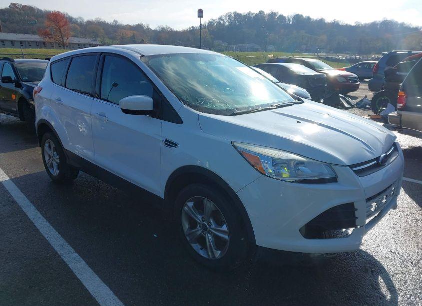 2013 Ford Escape SE (VIN 1FMCU0GX7DUC48440) main photo