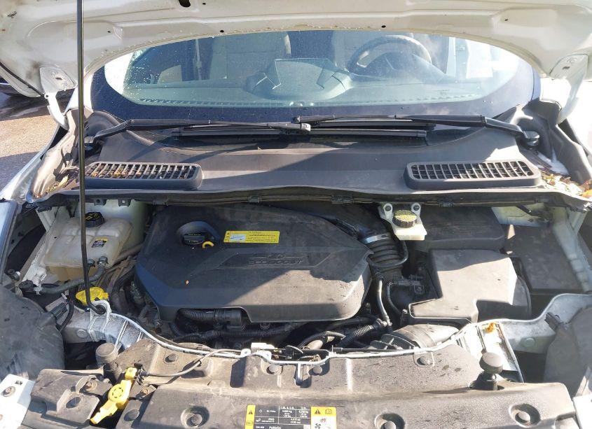 Photo 10 of 2013 Ford Escape SE (VIN 1FMCU0GX7DUC48440)