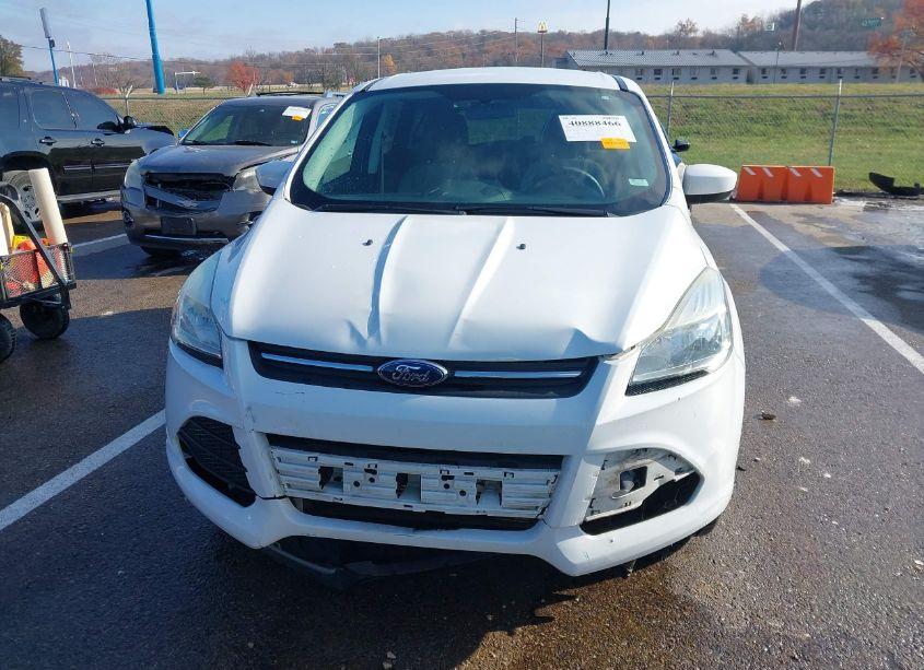 Photo 12 of 2013 Ford Escape SE (VIN 1FMCU0GX7DUC48440)