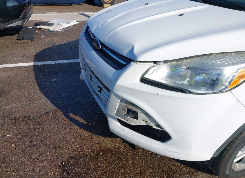 Photo 18 of 2013 Ford Escape SE (VIN 1FMCU0GX7DUC48440)