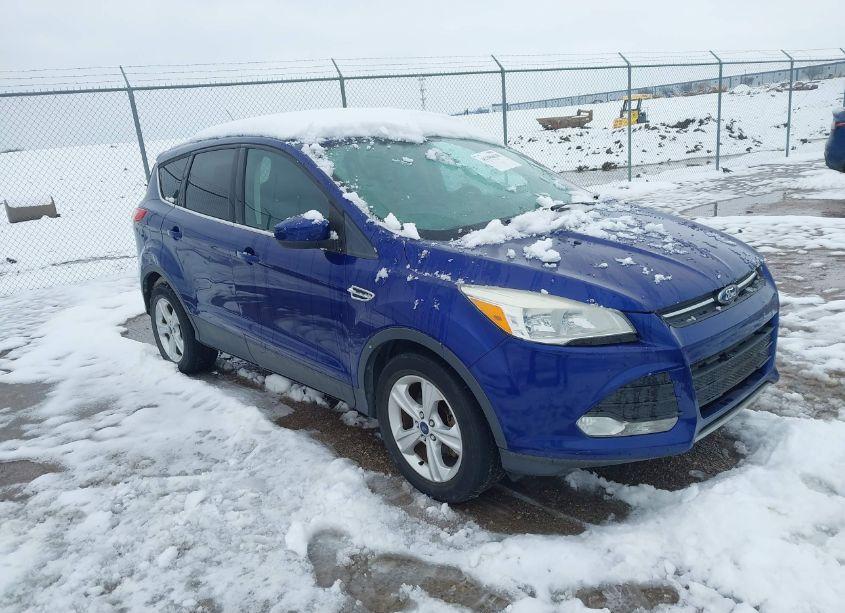 2013 Ford Escape SE (VIN 1FMCU0GX7DUC55341) main photo