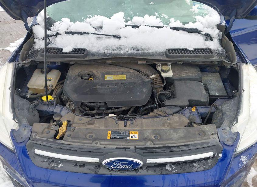 Photo 10 of 2013 Ford Escape SE (VIN 1FMCU0GX7DUC55341)